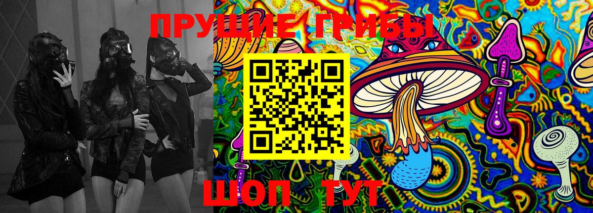 Киржач  Галлюциногенные грибы MAGIC MUSHROOMS  Вход с VPN  Галлюциногенные грибы Magic Shrooms 